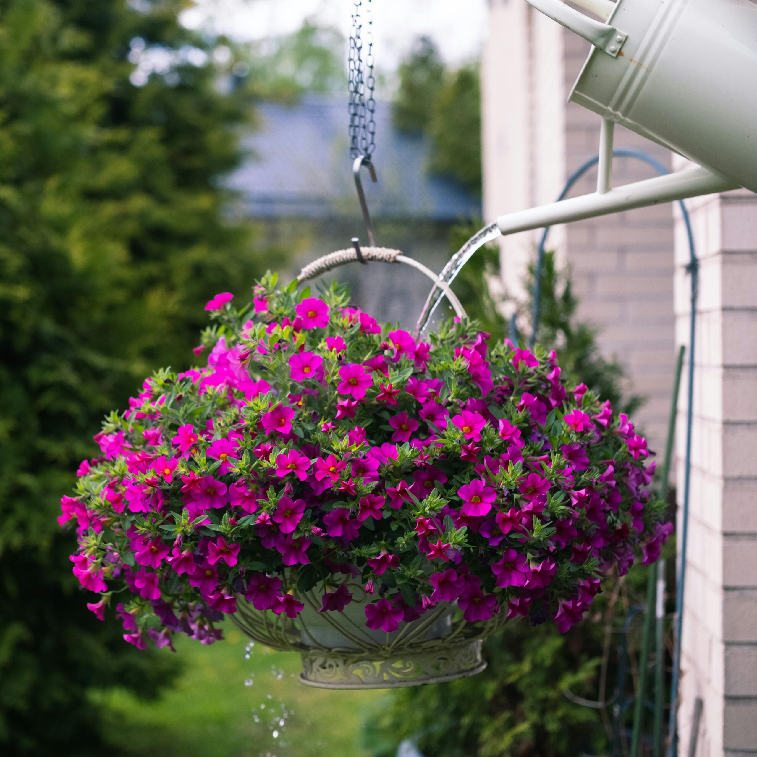 Efficient irrigation systems designed to support long-term landscape health while reducing water waste.